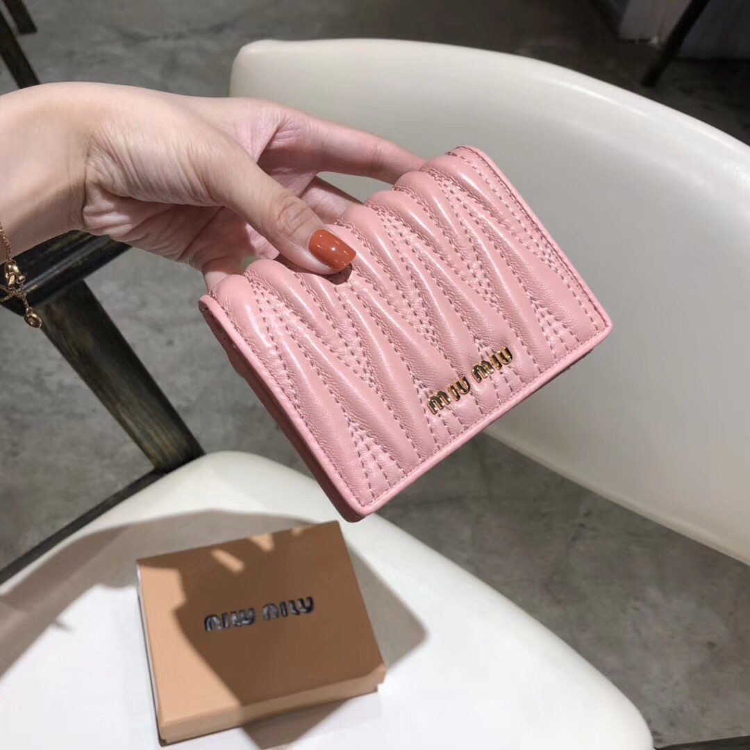 MiuMiu bag 147